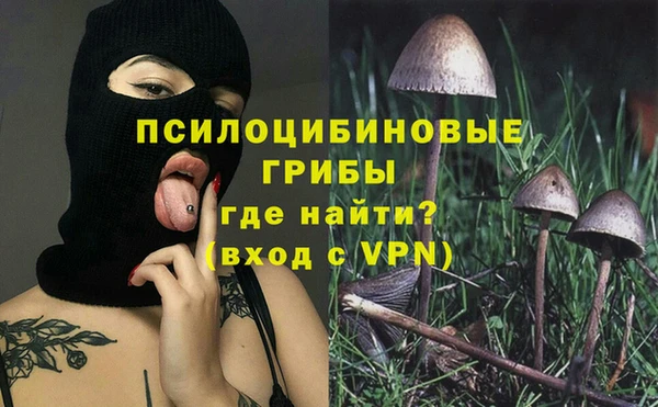 индика Абинск