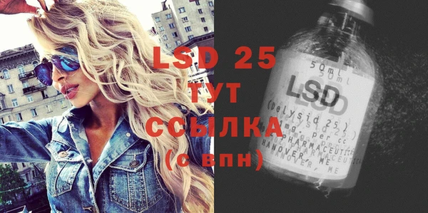 индика Абинск