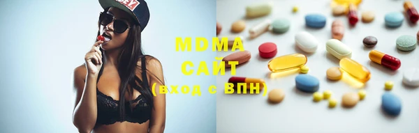 индика Абинск