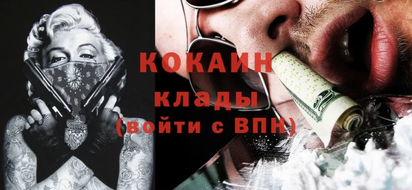 индика Абинск