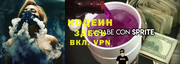 индика Абинск