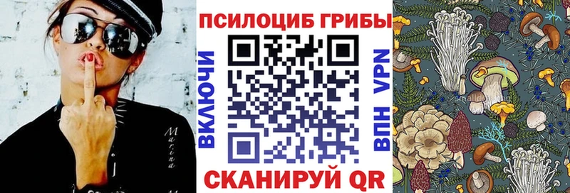 Псилоцибиновые грибы Psilocybine cubensis  blacksprut ссылка  Монино 